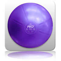 zz mediBall Pro Plus 85cm - Purple 